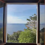 Oleandro Marciana (Isola d'Elba)