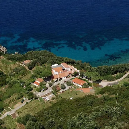 Oleandro Marciana (Isola d'Elba)