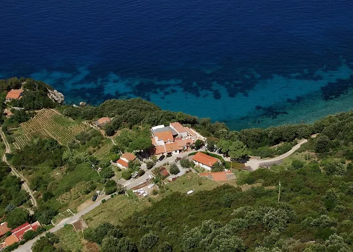 Oleandro Marciana (Isola d'Elba)