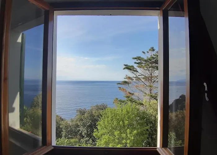 Oleandro Marciana (Isola d'Elba)