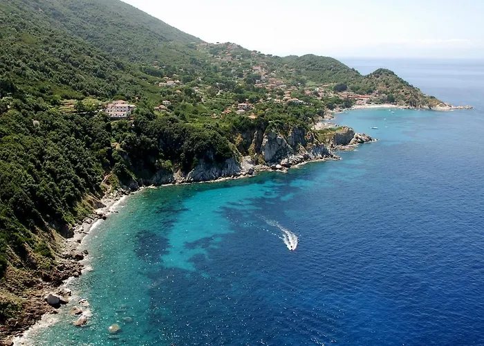 Oleandro Marciana (Isola d'Elba)