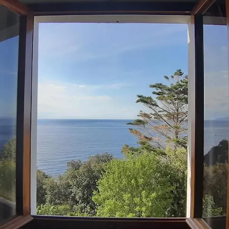 Oleandro Marciana (Isola d'Elba)