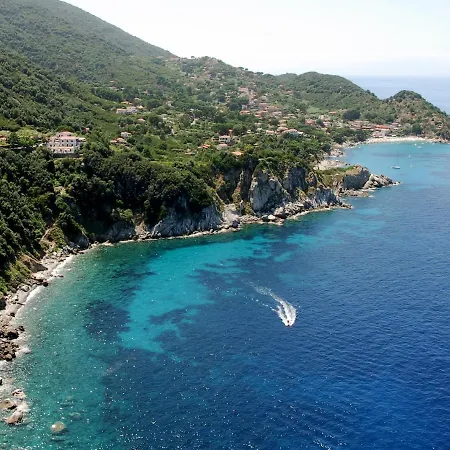 Oleandro Marciana (Isola d'Elba)