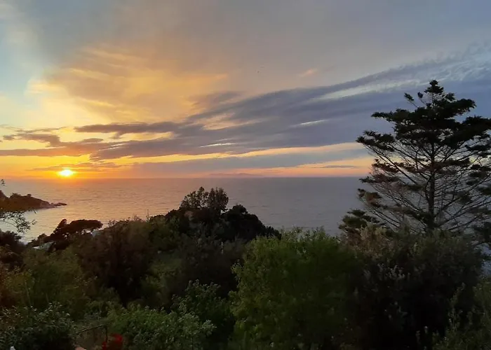 Hotel Oleandro Marciana (Isola d'Elba)